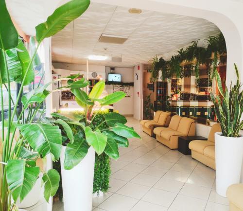 um lobby com plantas e sofás em uma loja em Hotel Zenith em Rimini