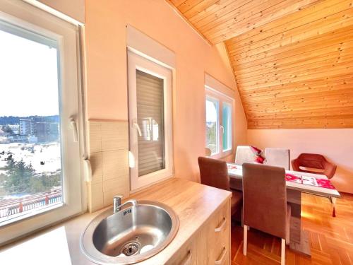 a bathroom with a sink in a tiny house at Family Two-bedroom apartment Zabljak in Žabljak