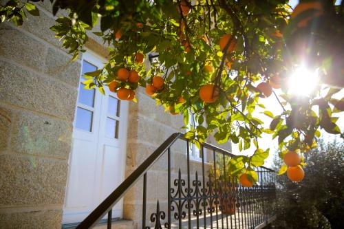 drzewo pomarańczowe przed białymi drzwiami w obiekcie Mãe - Casas de Selim w mieście Arcos de Valdevez