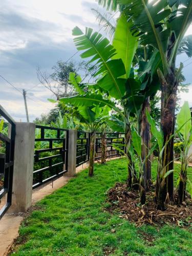 a fence next to some banana trees in a yard at Materuni Homes in Moshi