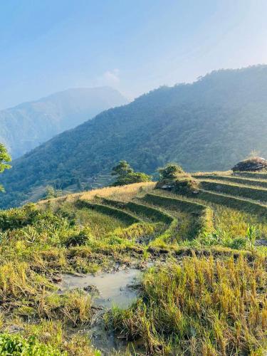 a view of a hillside with mountains in the background at HAPPY FAMILY HOTEL in Sa Pa
