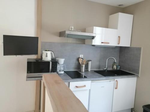 une cuisine avec un évier et un micro-ondes dans l'établissement Aux plumes, à La Roche-Posay
