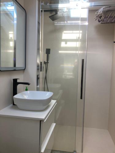 a bathroom with a sink and a glass shower at Homestay Free Park&Bikes in Ljubljana
