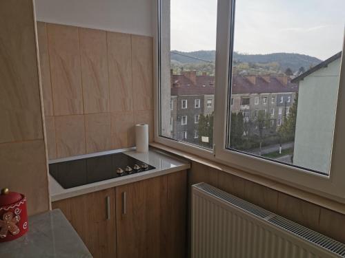 a kitchen with a sink and two windows with a view at Apartament Ramona in Zărneşti