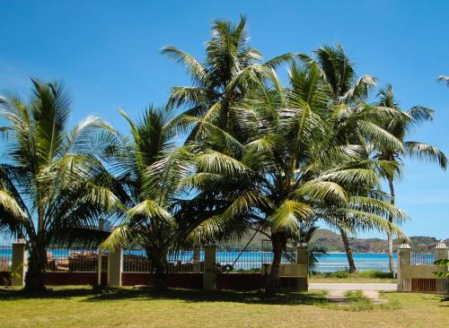 a group of palm trees on the beach at HideAway in Anse Possession