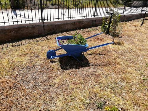 a blue wheelbarrow with a plant in it at Ήσυχη μονοκατοικία κοντά στη θάλασσα!!! in Polichnítos
