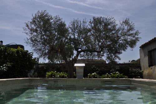 uma piscina com uma árvore ao fundo em Can Barrull-Costa Brava-Emporda em San Felíu de Boada