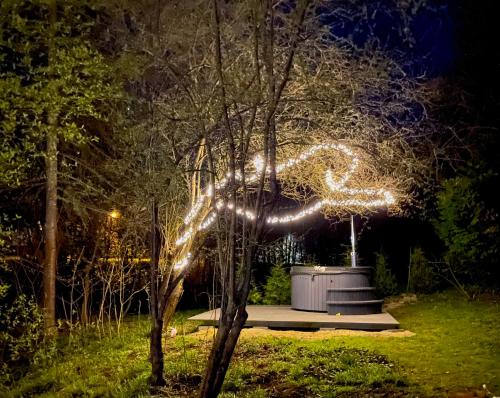 a tree with lights in a park at night at Round house in Sigulda