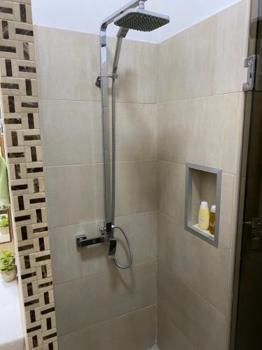 a shower with a shower head in a bathroom at “Nelly’s House” Excelente Ubicación y Confort in Carmelo