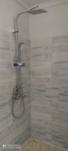 eine Dusche mit Duschkopf im Bad in der Unterkunft Cannes carnot in Cannes