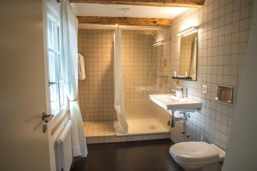 een badkamer met een douche, een toilet en een wastafel bij 3 Sterne Boutique Gasthaus Pöstli in Rifferswil