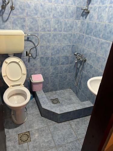 a bathroom with a shower with a toilet and a sink at Urban Apartments in Ulcinj