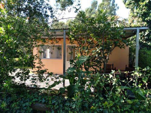 a house obscured by trees in the yard at Cabañas Ronca Hue in Tandil