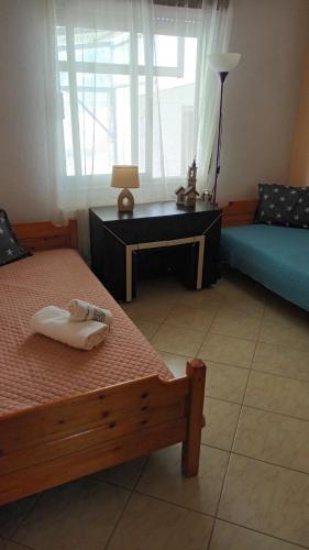 a bedroom with two beds and a table with a lamp at KALLIOPI'S HOUSE in Zilotí