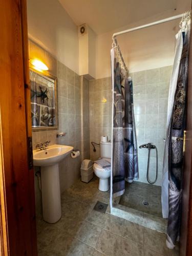アギア・マリーナ・ネア・キドニアスにあるMichael Apartmentsのバスルーム(洗面台、トイレ、シャワー付)