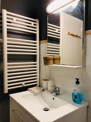 une salle de bain avec un lavabo et un miroir dans l'établissement Votre pied à terre en plein coeur du Touquet, à Le Touquet-Paris-Plage