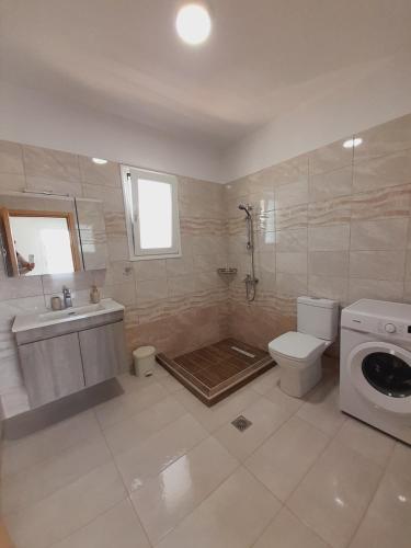 a bathroom with a toilet sink and a washing machine at Roseberry Studios in Faliraki
