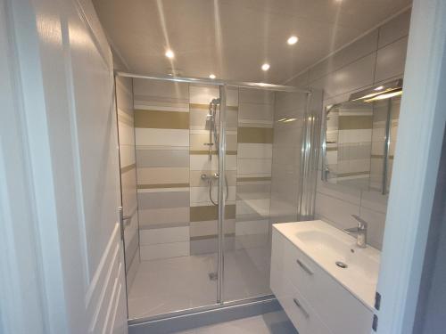 ein weißes Bad mit einer Dusche und einem Waschbecken in der Unterkunft Appart Thonon-Corzent in Anthy