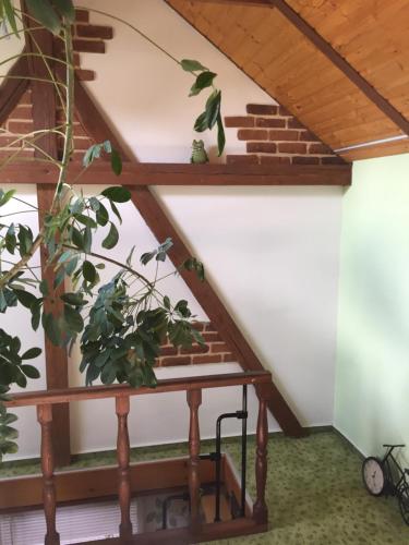 a stairwell in a house with a plant at Haus Luise in Stapelburg