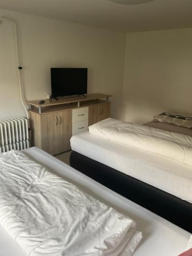 1 Schlafzimmer mit 2 Betten und einem Schrank mit einem TV in der Unterkunft C & C2 in Trofaiach