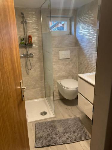 a small bathroom with a shower and a toilet at C & C2 in Trofaiach