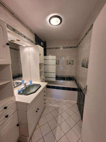 ein Badezimmer mit einem Waschbecken und einer Badewanne in der Unterkunft Le Peupleraie chez l'habitant in Boissy-Saint-Léger