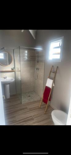een badkamer met een douche, een toilet en een wastafel bij Bakoua Bungalow - Jacuzzi in Gros-Morne