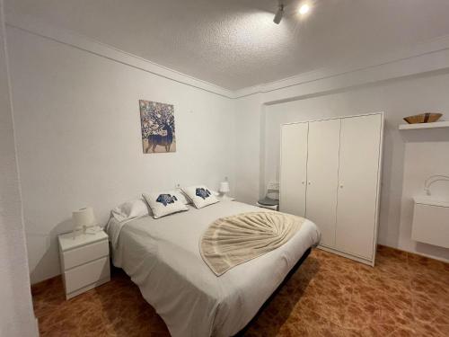 Valencia Centro andando y Playa malvarrosa tranvía