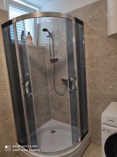 a shower with a glass door in a bathroom at Apartman David in Senj