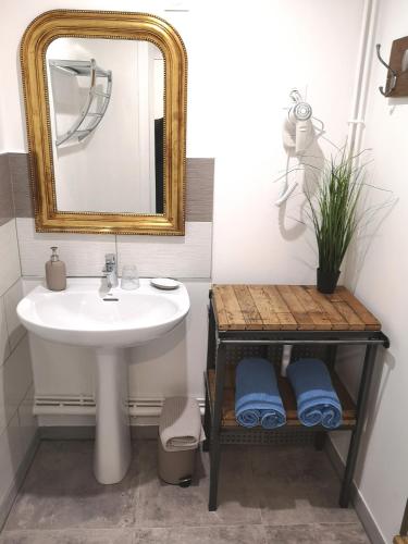 une salle de bain avec un lavabo et un miroir dans l'établissement Au Terminus 6 Personnes, à Hautvillers