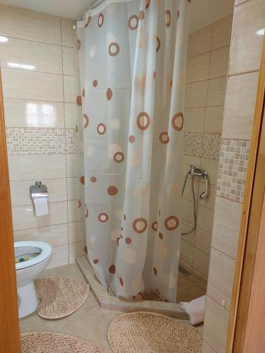 a bathroom with a shower curtain and a toilet at Etno selo EDEN in Žeravački Potok