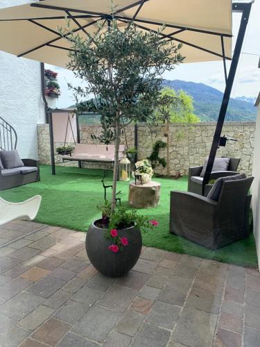 a tree in a large pot sitting under an umbrella at L'edera Grande in Civezzano
