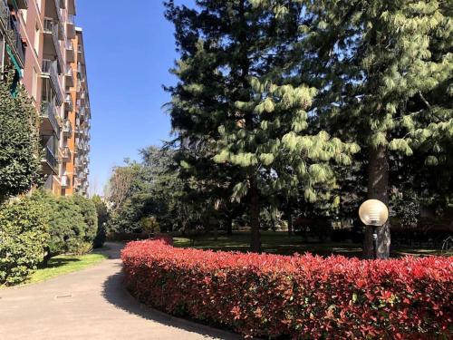 Aed väljaspool majutusasutust Appartamento Veronica, per lavoro e relax