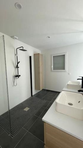 une salle de bain avec douche et lavabo dans l'établissement Magnifique villa avec piscine et cabane, à Saubrigues