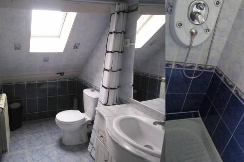 La salle de bains est pourvue de toilettes, d'un lavabo et d'une douche. dans l'établissement Gare-Arquebuse, à Dijon