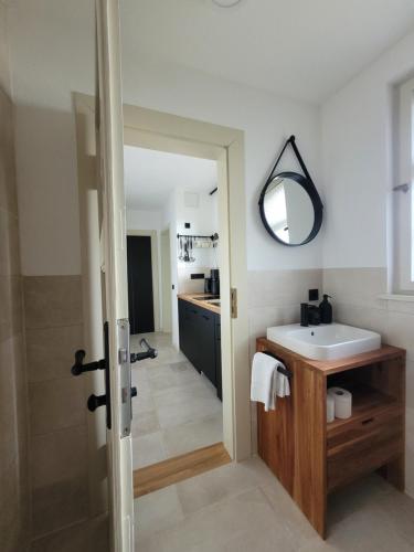 a bathroom with a sink and a mirror at Hillehof Ostrau in Bad Schandau