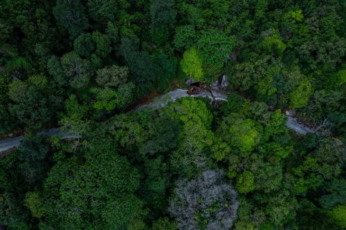 an aerial view of a forest with a house in the middle at Rock Hut Tabor Hills Resort Vagamon in Vagamon