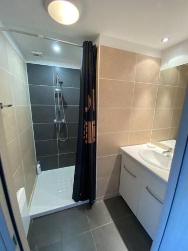 une salle de bain avec douche et lavabo dans l'établissement Ma paillote a LOZARI 6/8 pers vue mer avec piscine, à Palasca