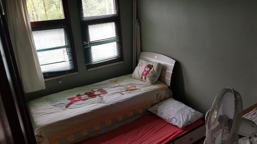 トラブゾンにあるAsmaの窓付きの客室の小さなベッド1台分です。