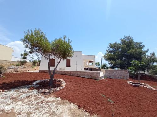 a house with a tree in the middle of a yard at VILLA IL PIGNO ZONA MALDIVE DEL SALENTO in Marina di Pescoluse