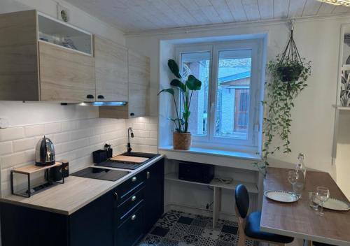 une cuisine avec un évier, une table et une fenêtre dans l'établissement Le Megevand, à Besançon