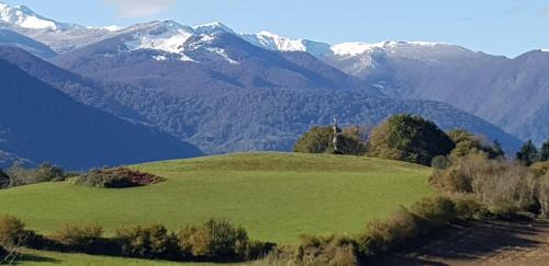 un champ vert avec des montagnes en arrière-plan dans l'établissement Aquero-accueil, à Bartrés