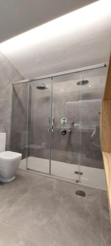 La salle de bains est pourvue d'une douche en verre et de toilettes. dans l'établissement Vivienda Vacacional Villa Valdes, à Llanes