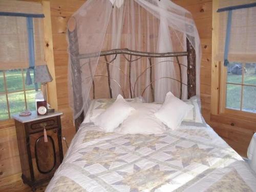 1 dormitorio con 1 cama con dosel en Charming, Quiet, Modern, River Front, en Hillsdale