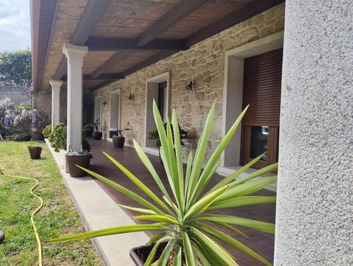 una planta en una olla al lado de una casa en Villa Carmen, en András