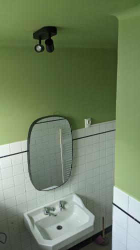 une salle de bain avec un lavabo et un miroir dans l'établissement Cosy house in Guingamp !, à Guingamp