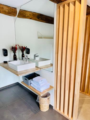 a bathroom with a sink and a counter with towels at La Bel échappée in Aubel
