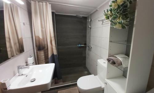 uma casa de banho com um chuveiro, um WC e um lavatório. em Old town apartment em Lerápetra