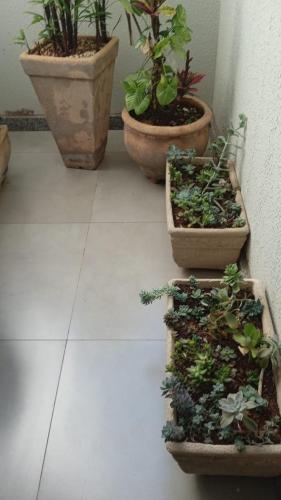 a group of potted plants sitting on a tiled floor at Edifício Master in Cascavel