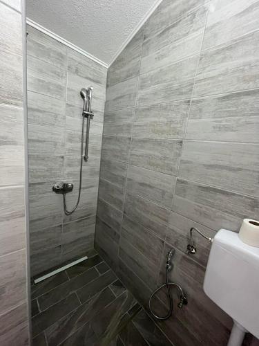 a bathroom with a shower stall and a toilet at EDINA in Bihać